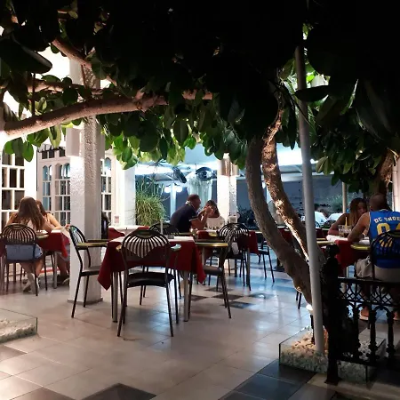 Metaxa Apartman *